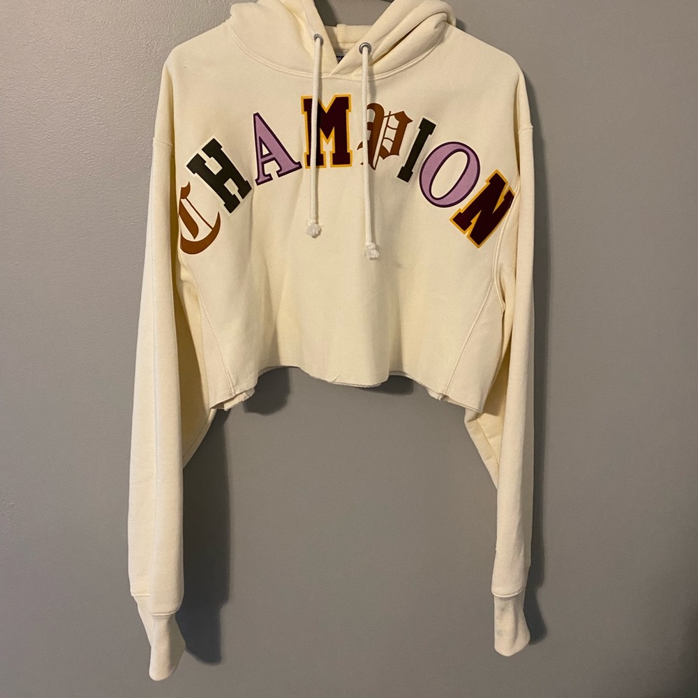 Champion cropped hoodie
